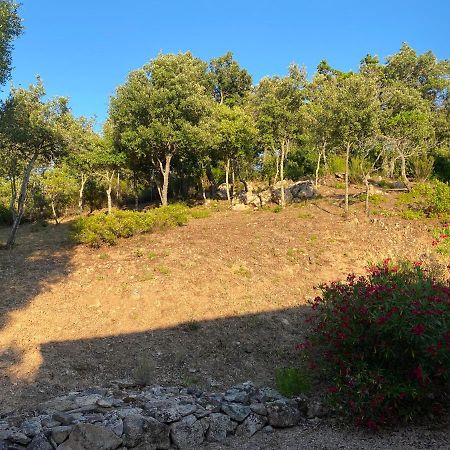 Li Paduleddi Country Guest House Olbia Bagian luar foto