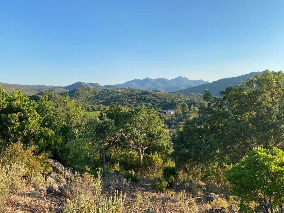 Li Paduleddi Country Guest House Olbia Bagian luar foto