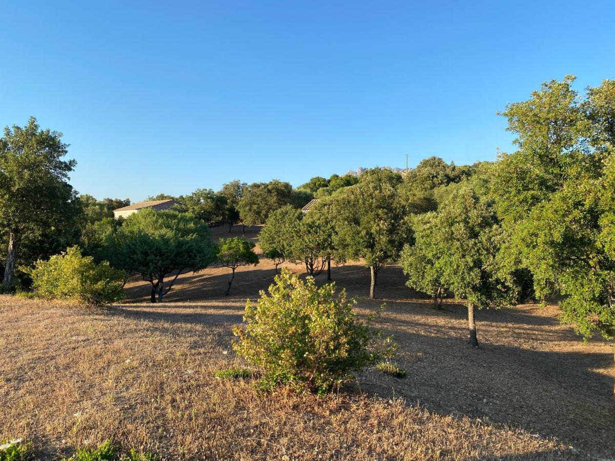 Li Paduleddi Country Guest House Olbia Bagian luar foto