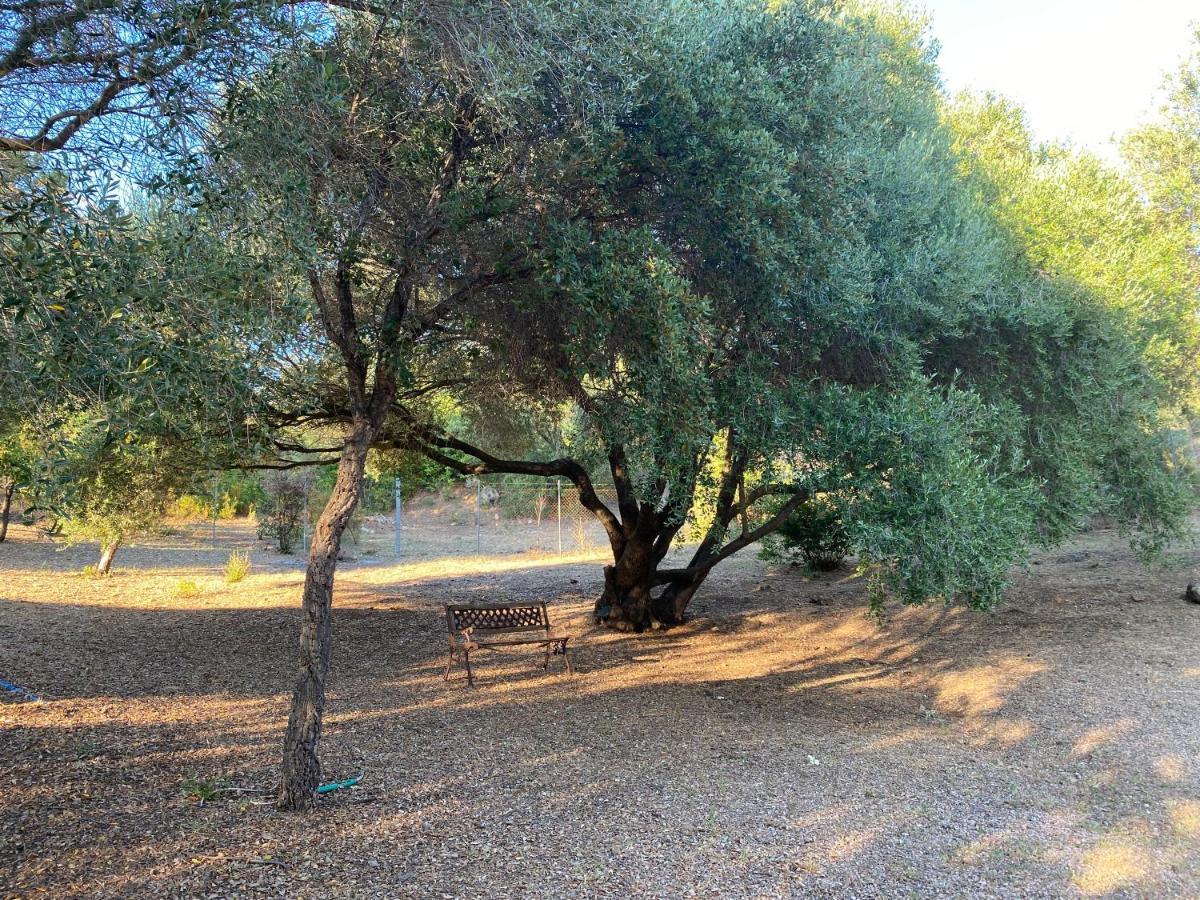 Li Paduleddi Country Guest House Olbia Bagian luar foto