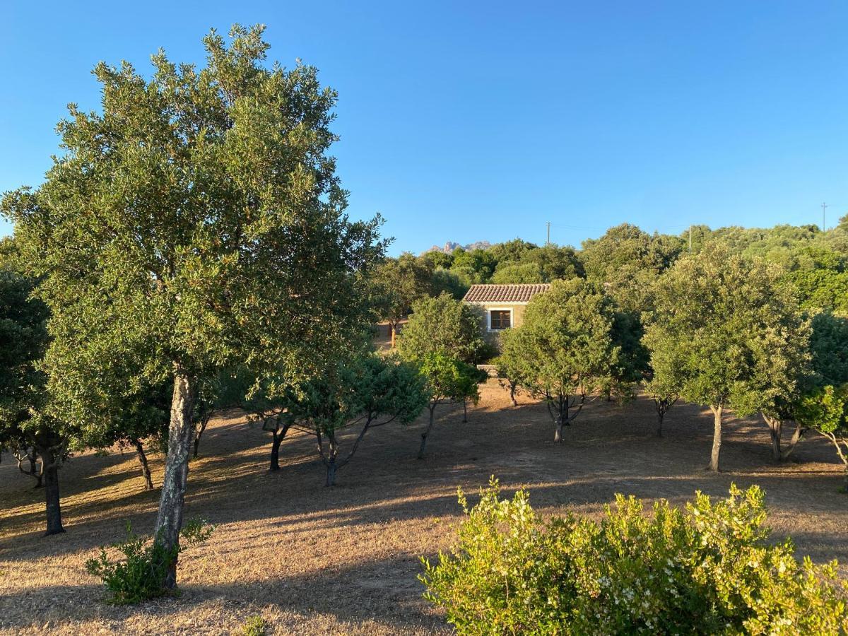Li Paduleddi Country Guest House Olbia Bagian luar foto