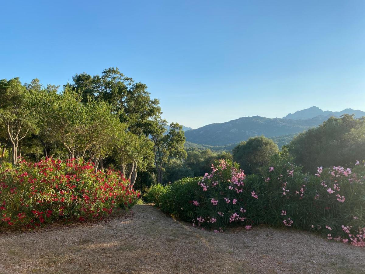 Li Paduleddi Country Guest House Olbia Bagian luar foto
