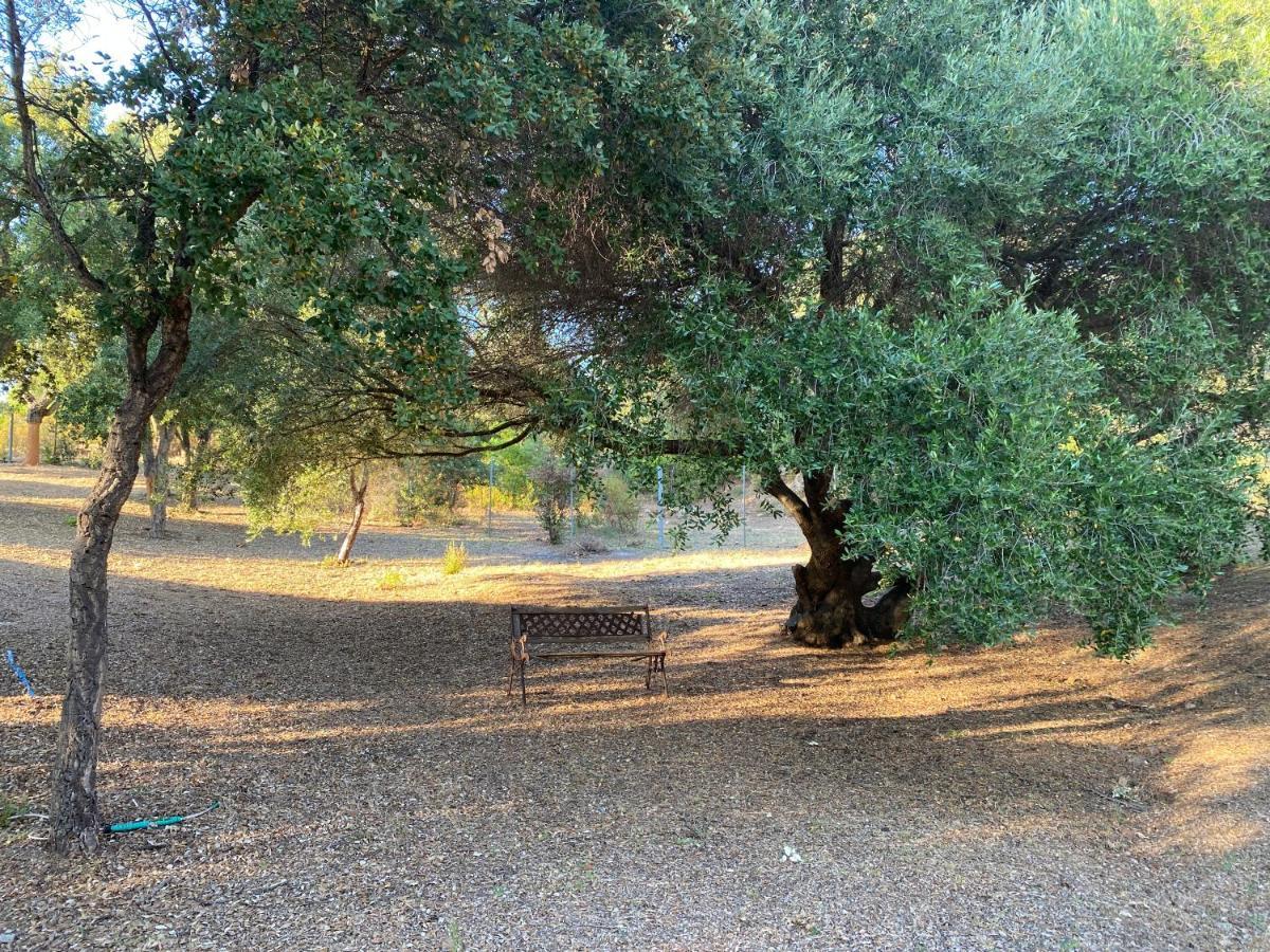 Li Paduleddi Country Guest House Olbia Bagian luar foto