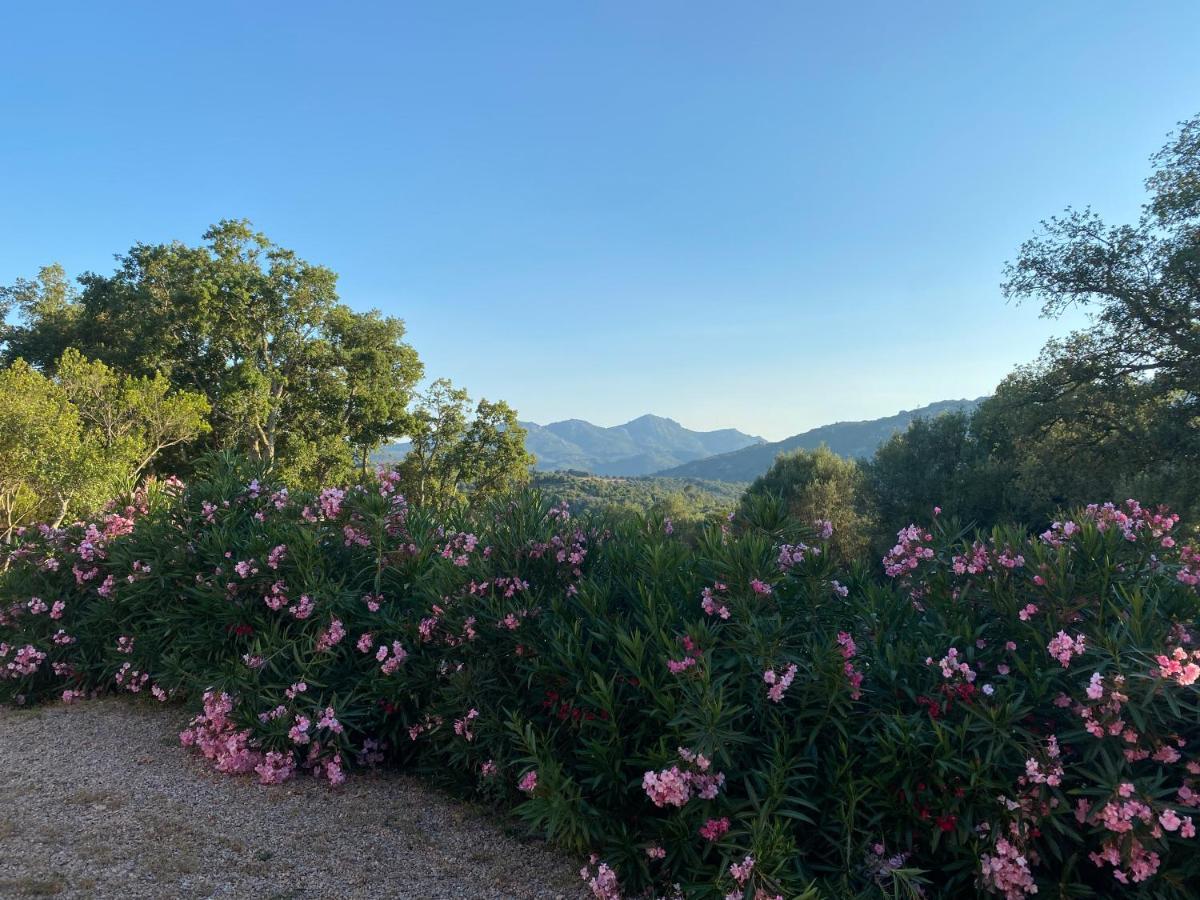 Li Paduleddi Country Guest House Olbia Bagian luar foto